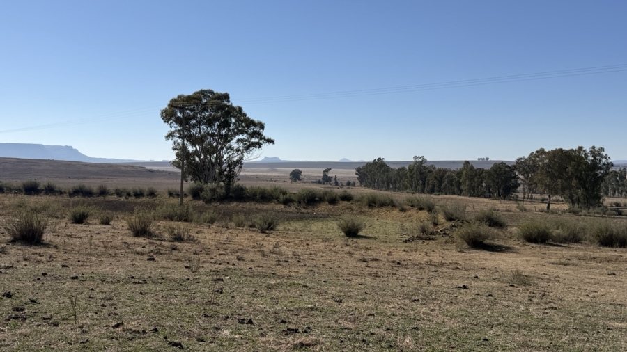 Commercial Property for Sale in Senekal Free State